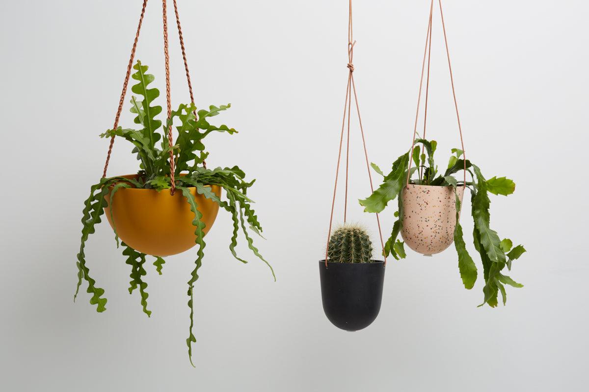 Level Up: 4 Reasons Why Styling with Hanging Pots is a Game-Changer