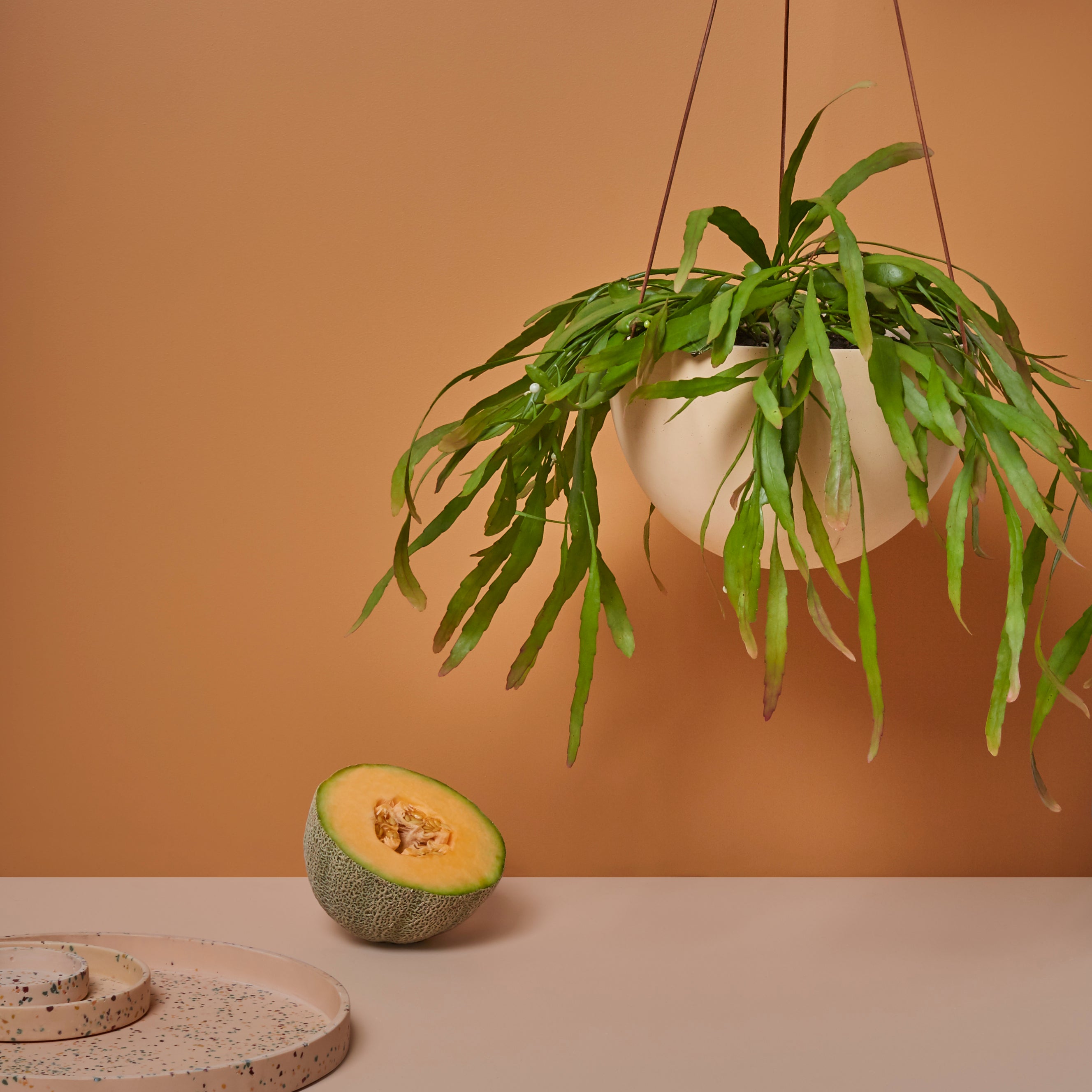 hanging indoor planters