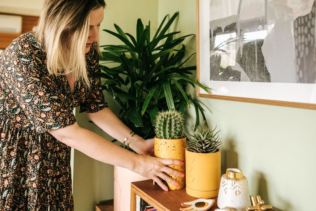 decorative indoor plants pots