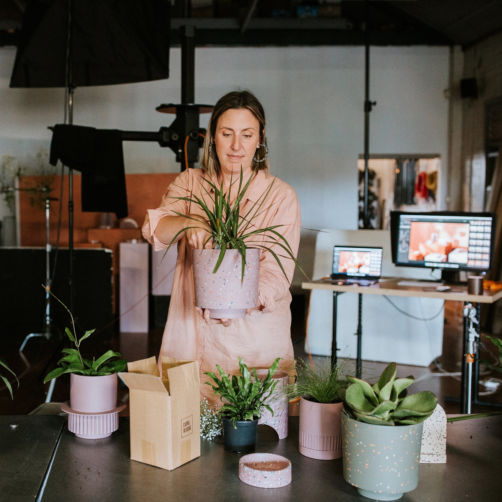 decorative indoor plants pots