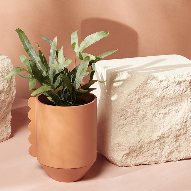 designer pots