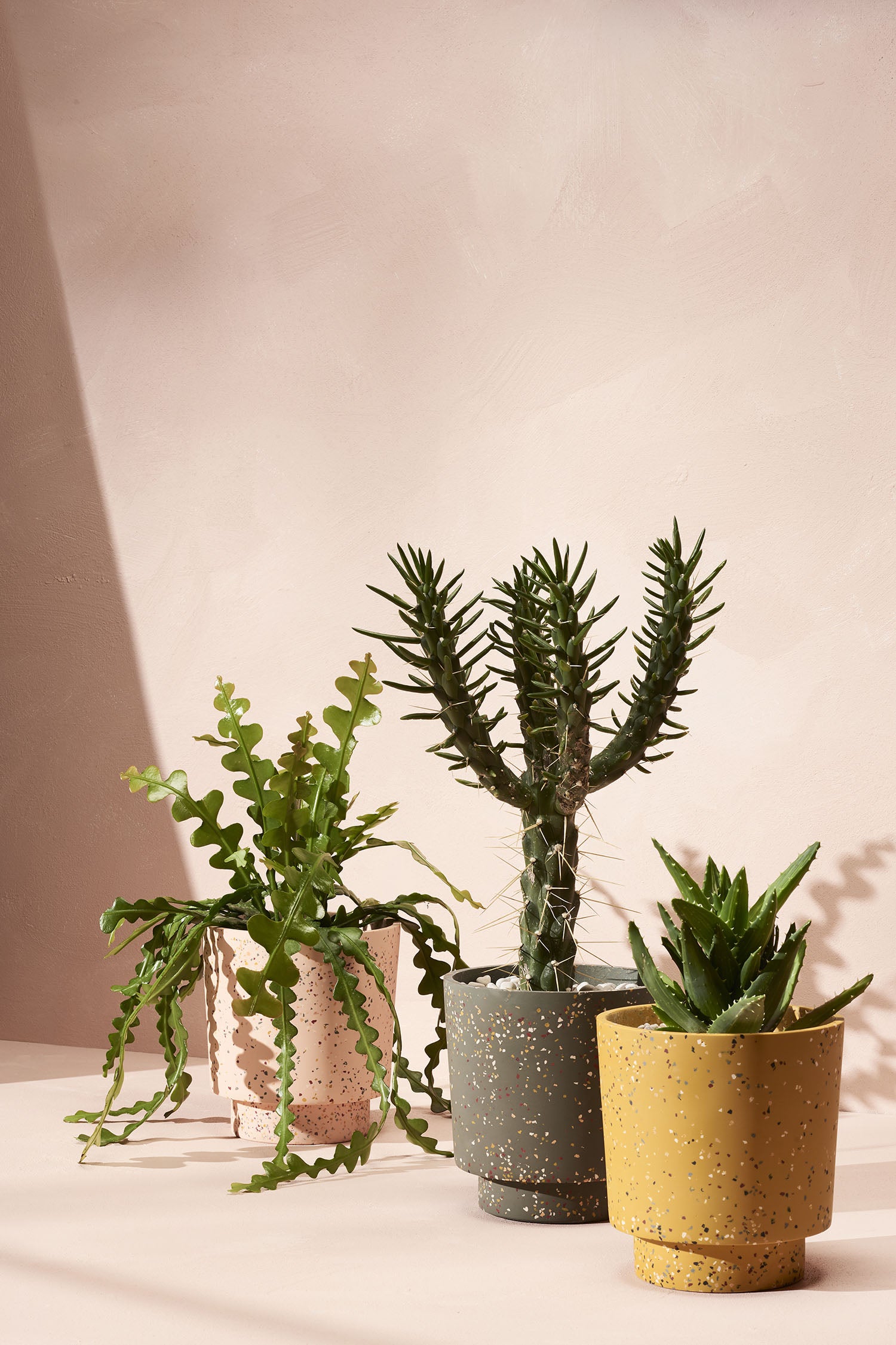 benjo planter terrazzo