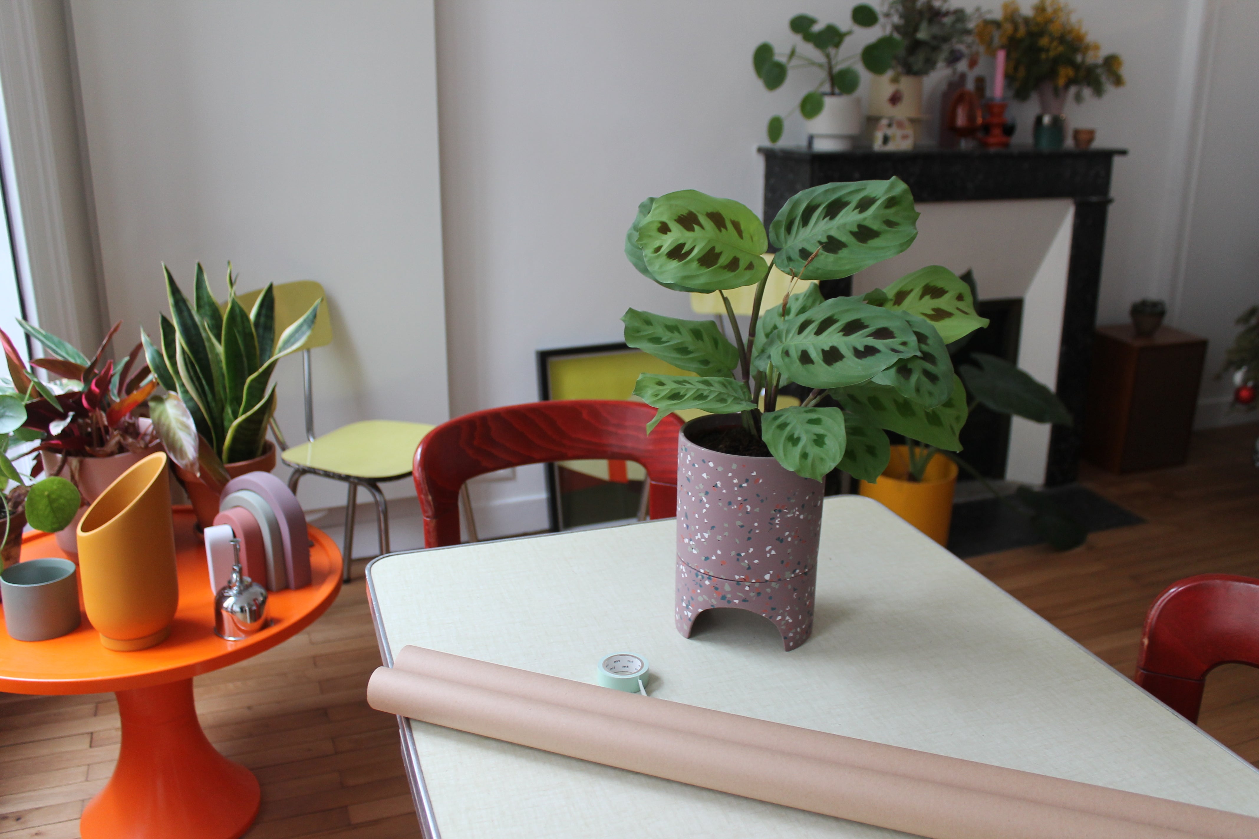 terrazzo plant pots