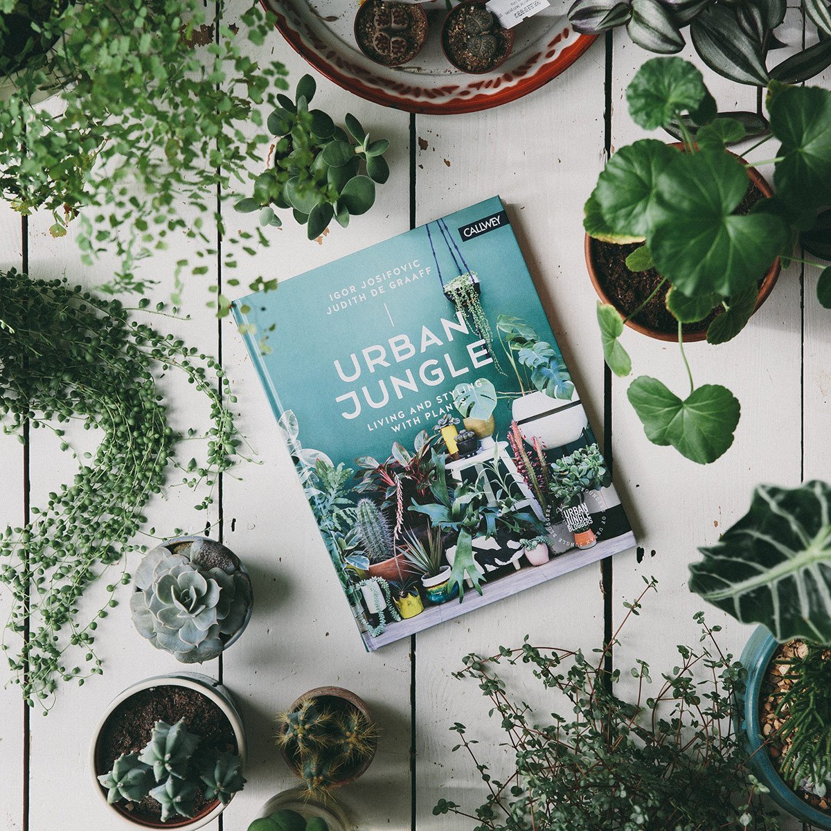 plant pots, books