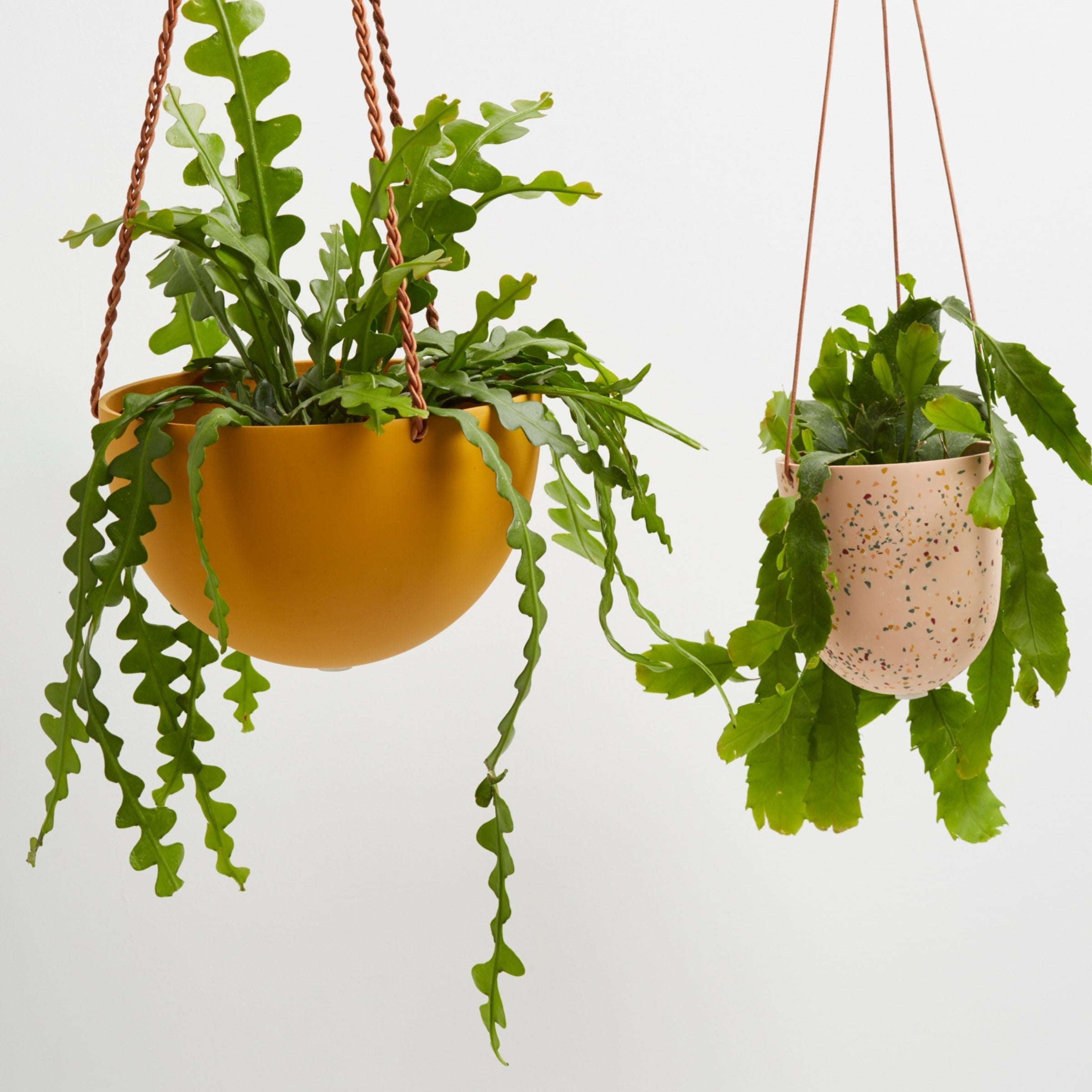 Hanging Pots