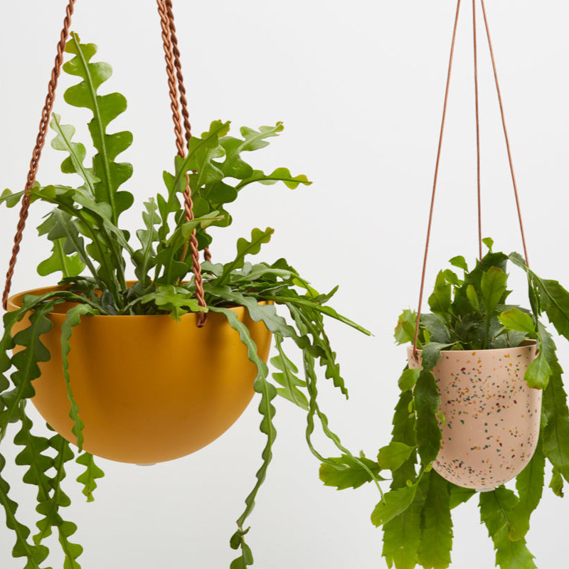Hanging Planter Set - usa.capradesigns