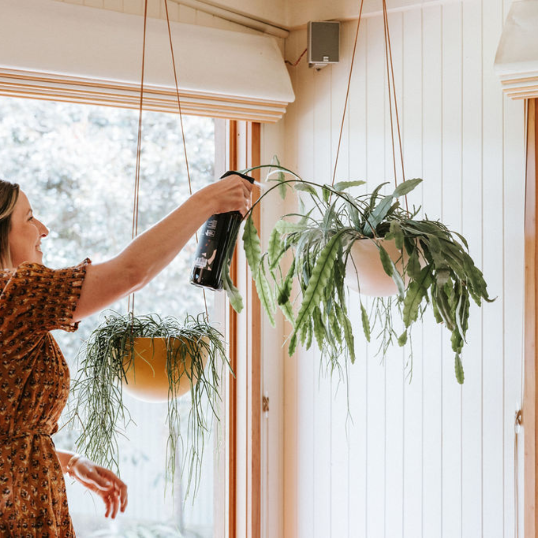 Indoor Hanging Planters_Capra Designs