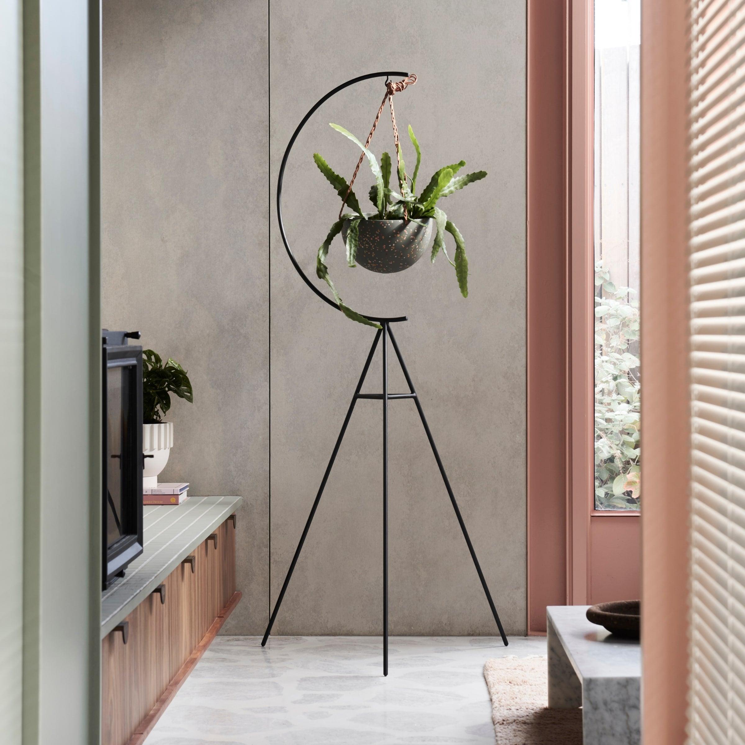 Tall Black Plant Stand - Capra Designs