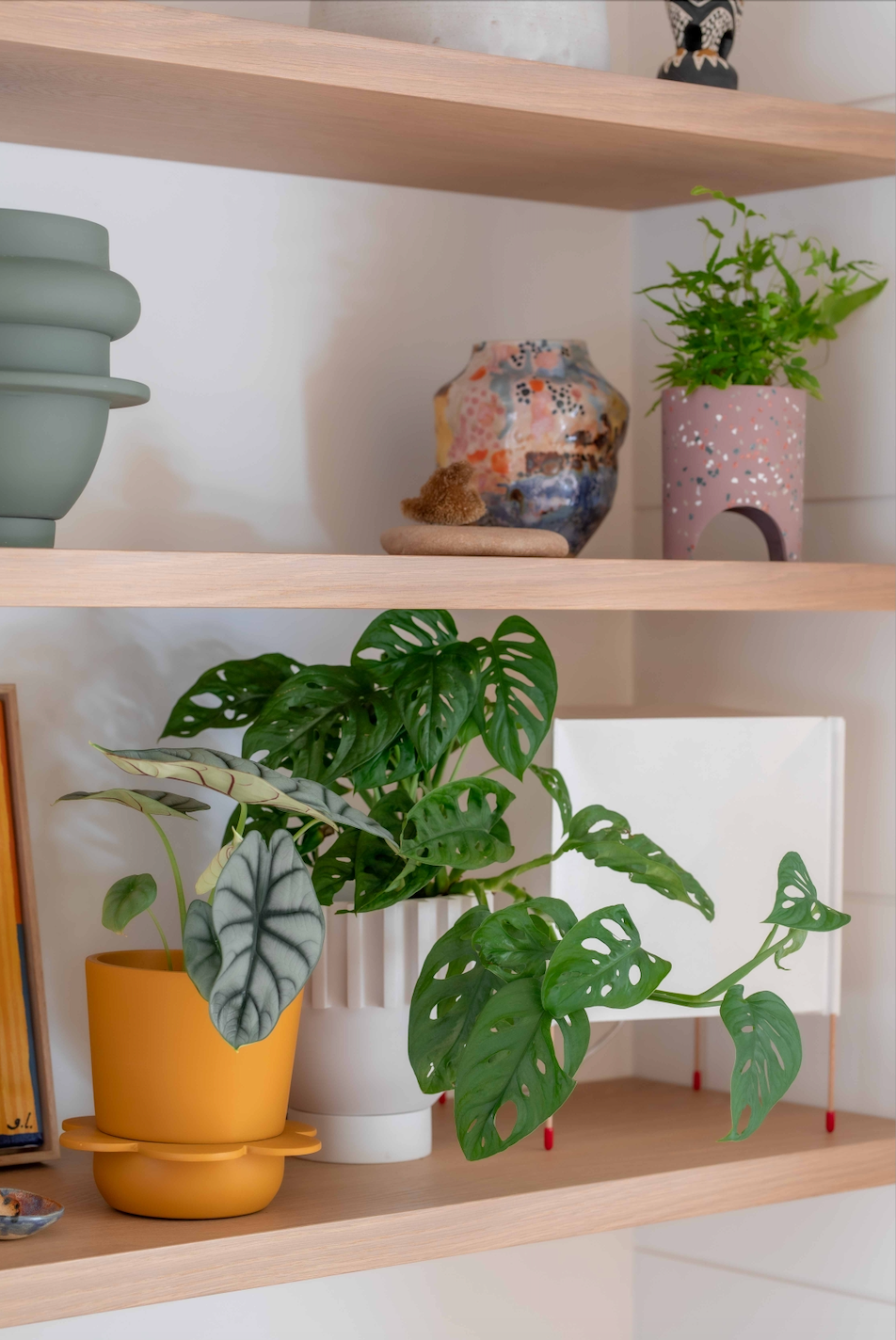 Bright indoor plant pot, Capra Designs
