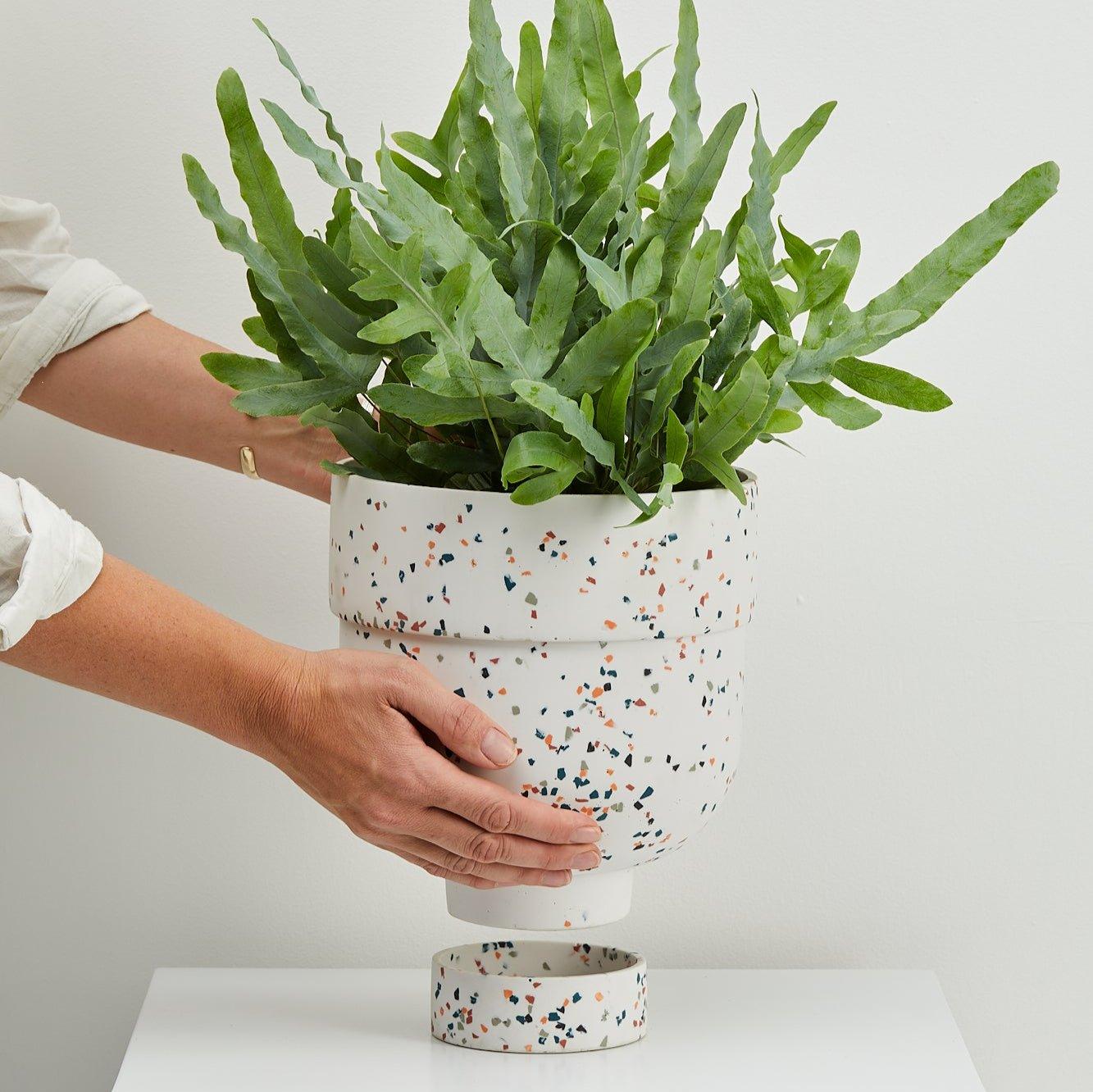 Terrazzo Indoor Pot in White | Capra Designs For Bunnings