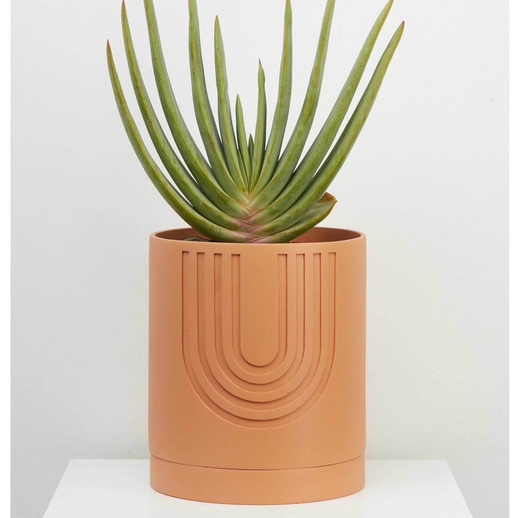 Large Etch Planter - usa.capradesigns