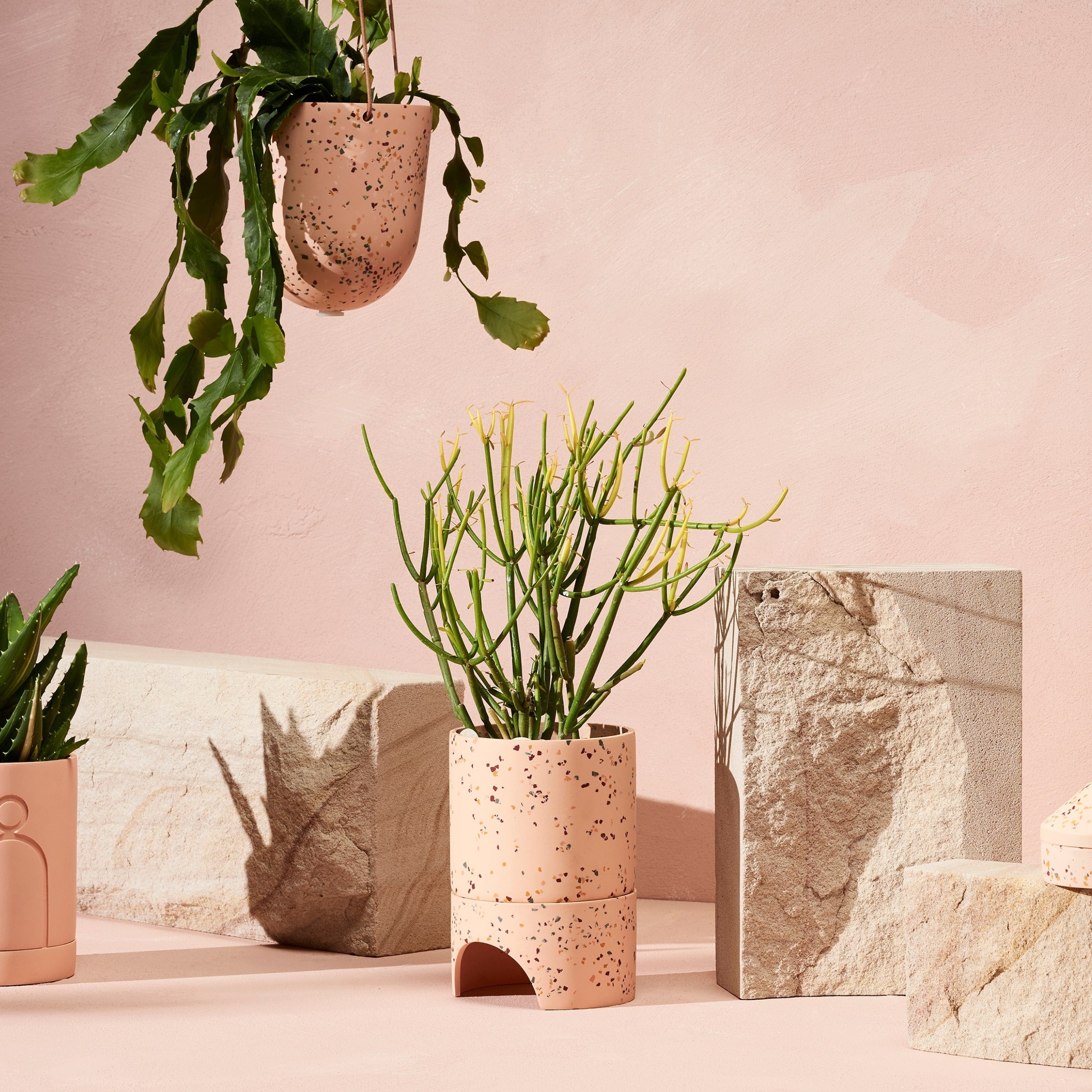 Pink Plant Pots_Capra Desgins