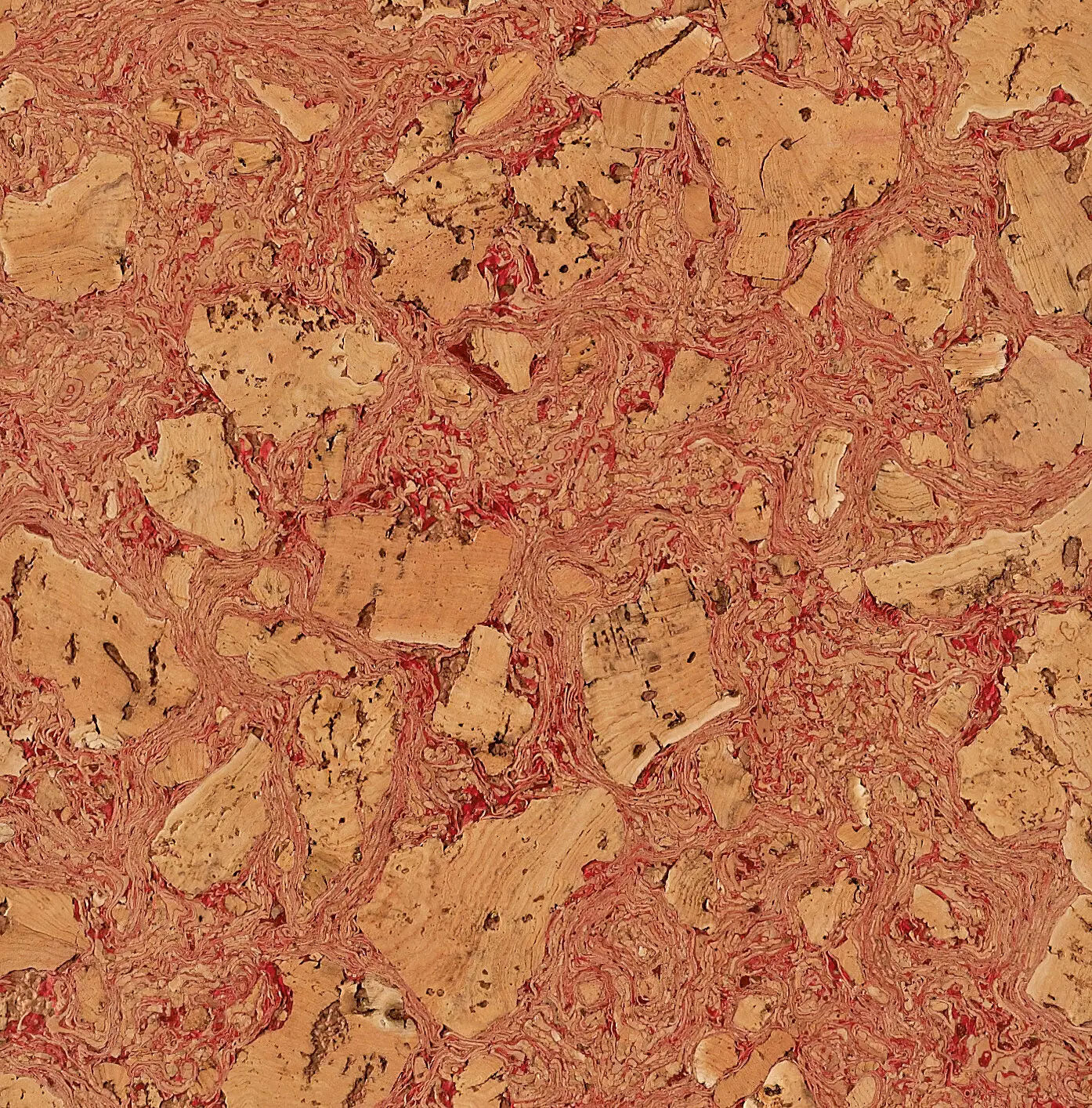 Portuguese-Cork-Wall-tiles-Capra-Designs5