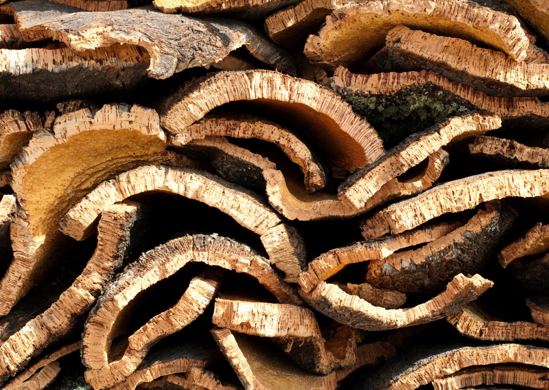 Portuguese cork_capra designs