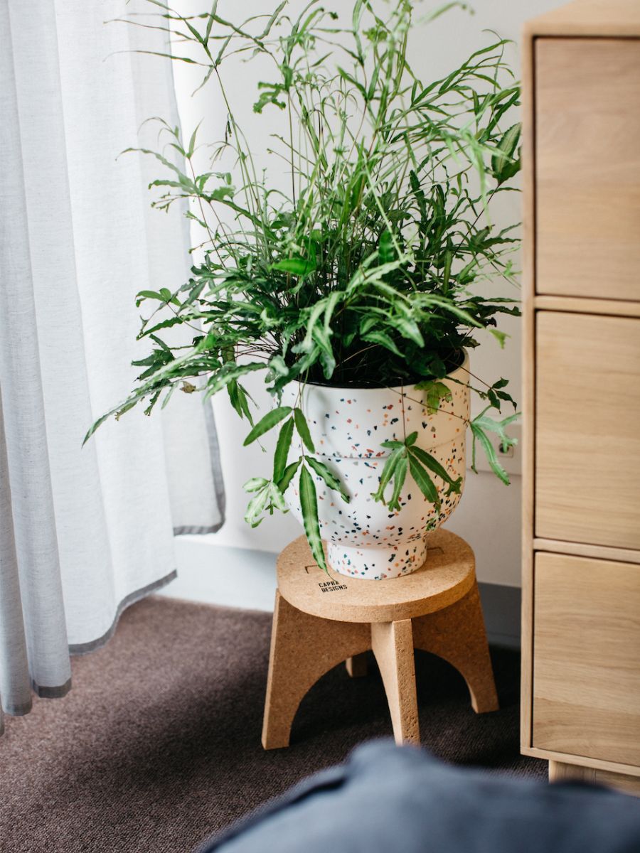 Funnel Planter and Cork Stand Gift Pack - Capra Designs