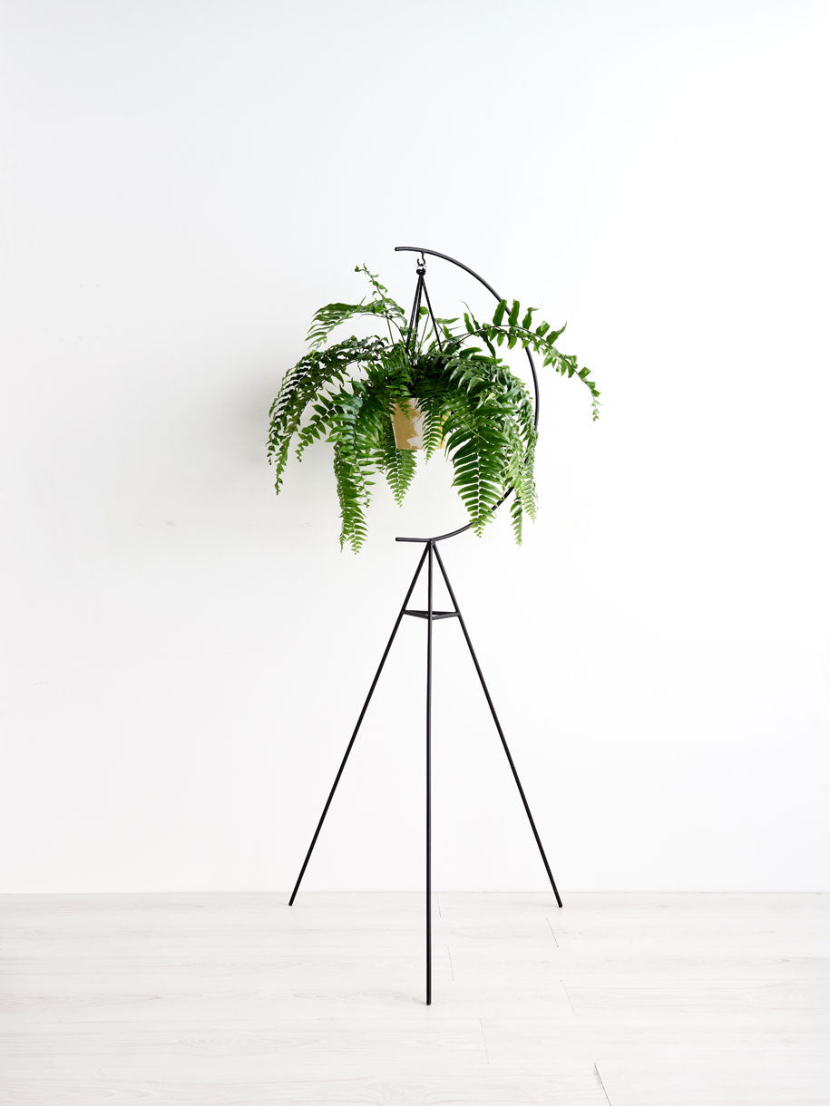 Crescent Plant Stand - usa.capradesigns