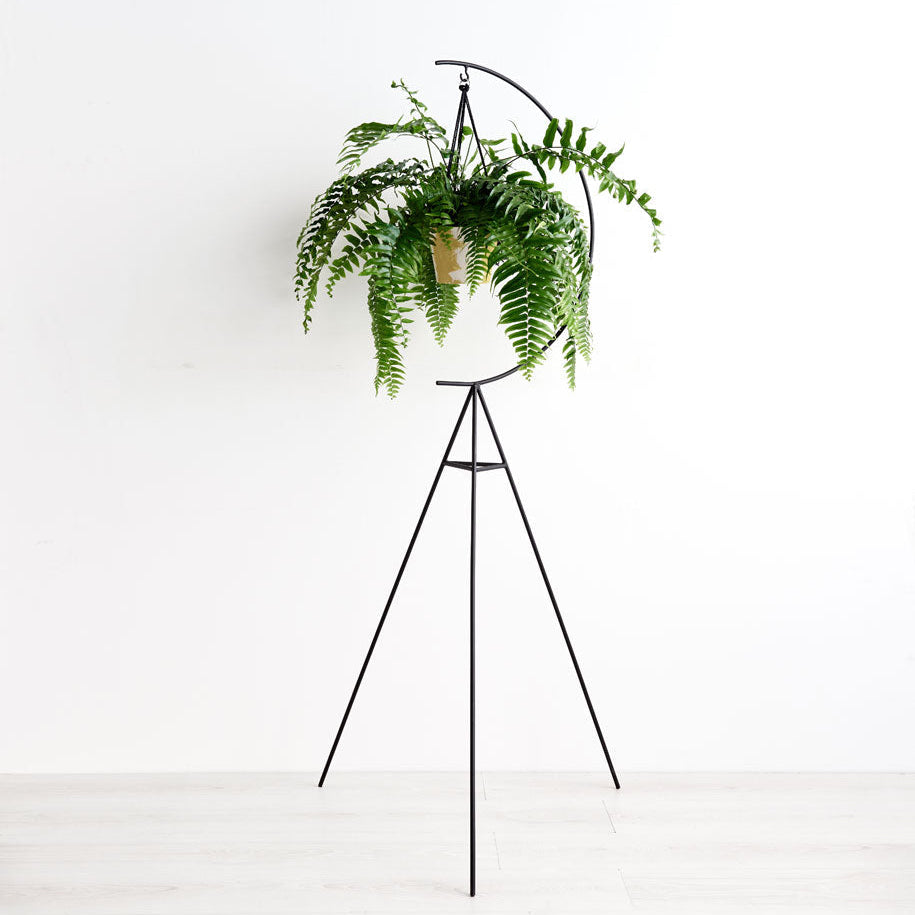 Crescent Plant Stand, Hanging Plant Stand