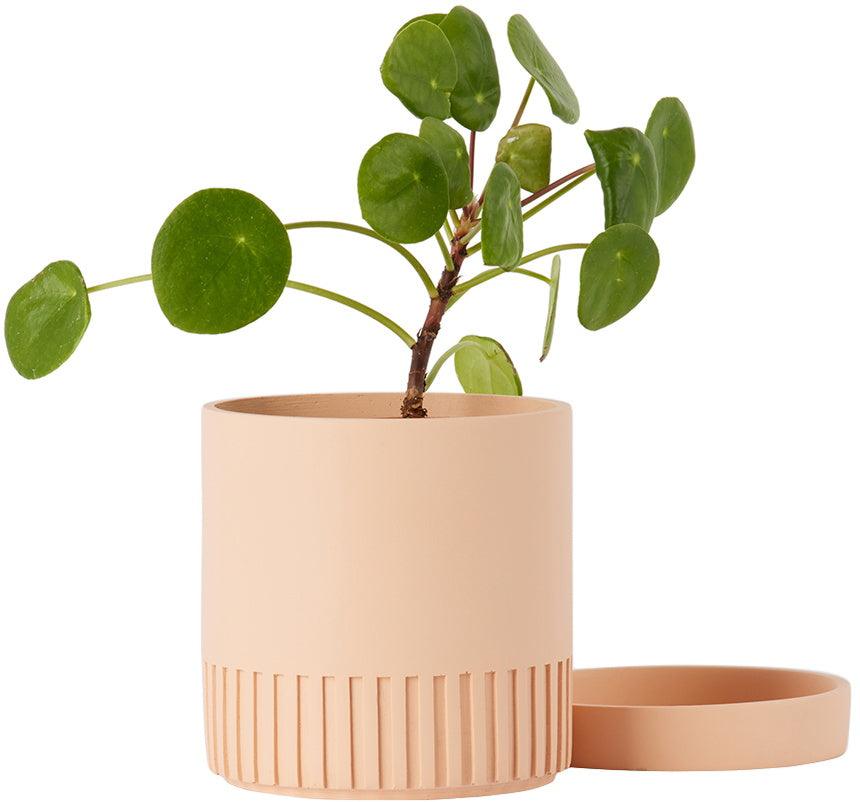 cream-indoor-planter- Capra Designs