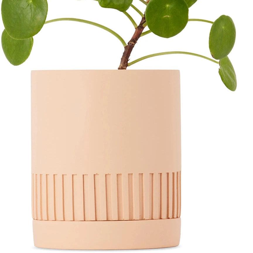 small-cream-planter_Capra Designs