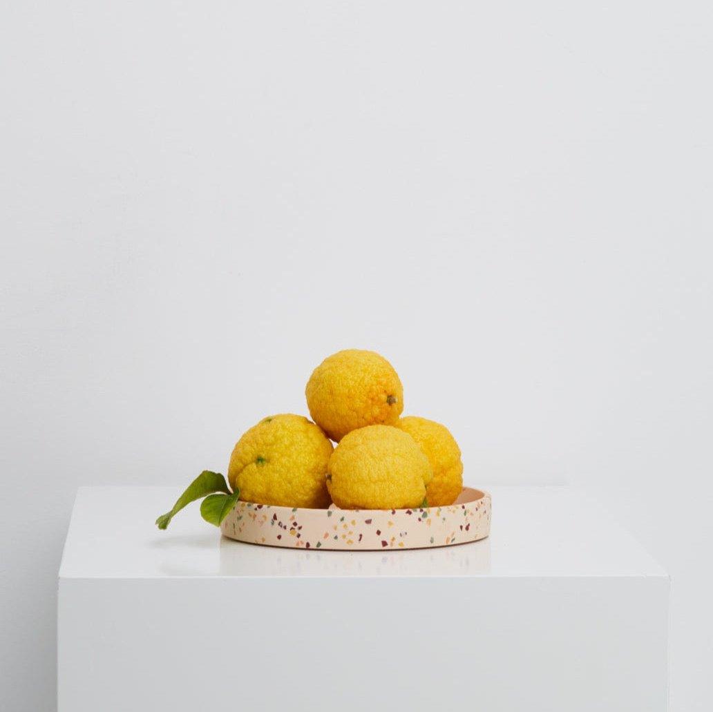 multipurpose tray for the home