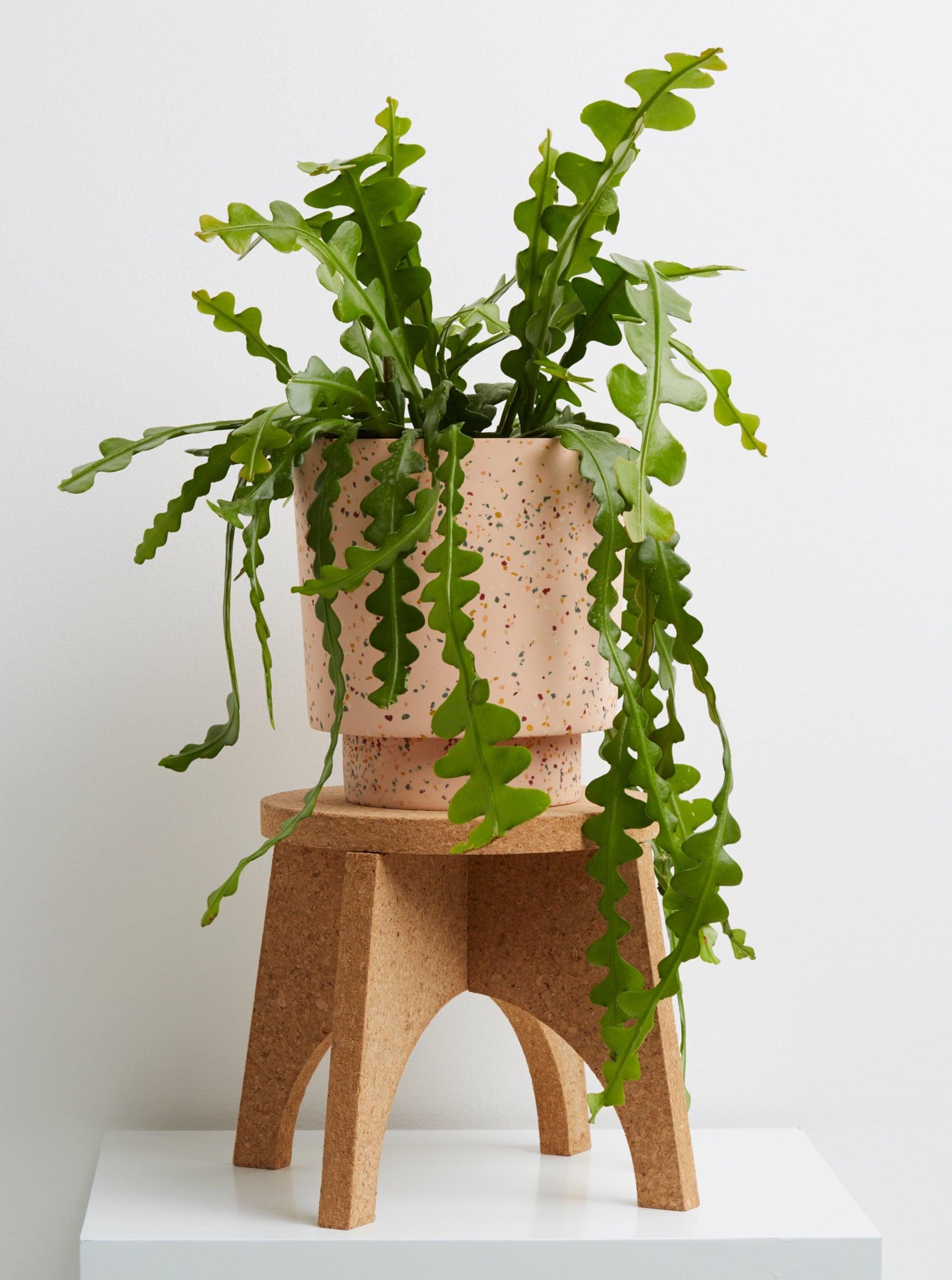 Capra Designs_pots stand indoor_pot with stand