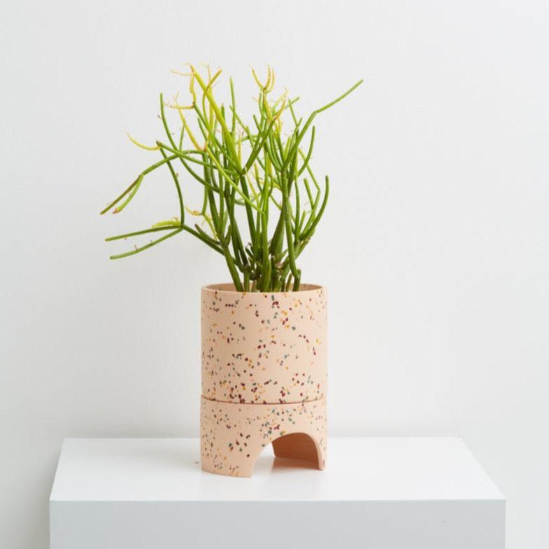 Cream indoor pot with plant