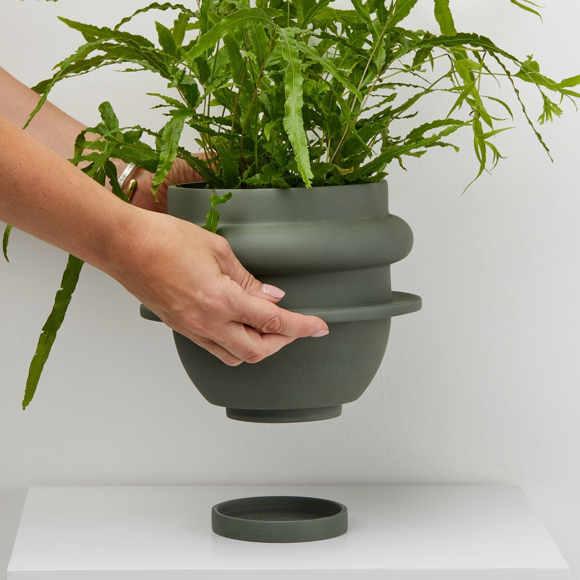 Capra Designs_Green Indoor Pot