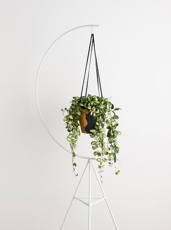 White plant stand_Capra Designs