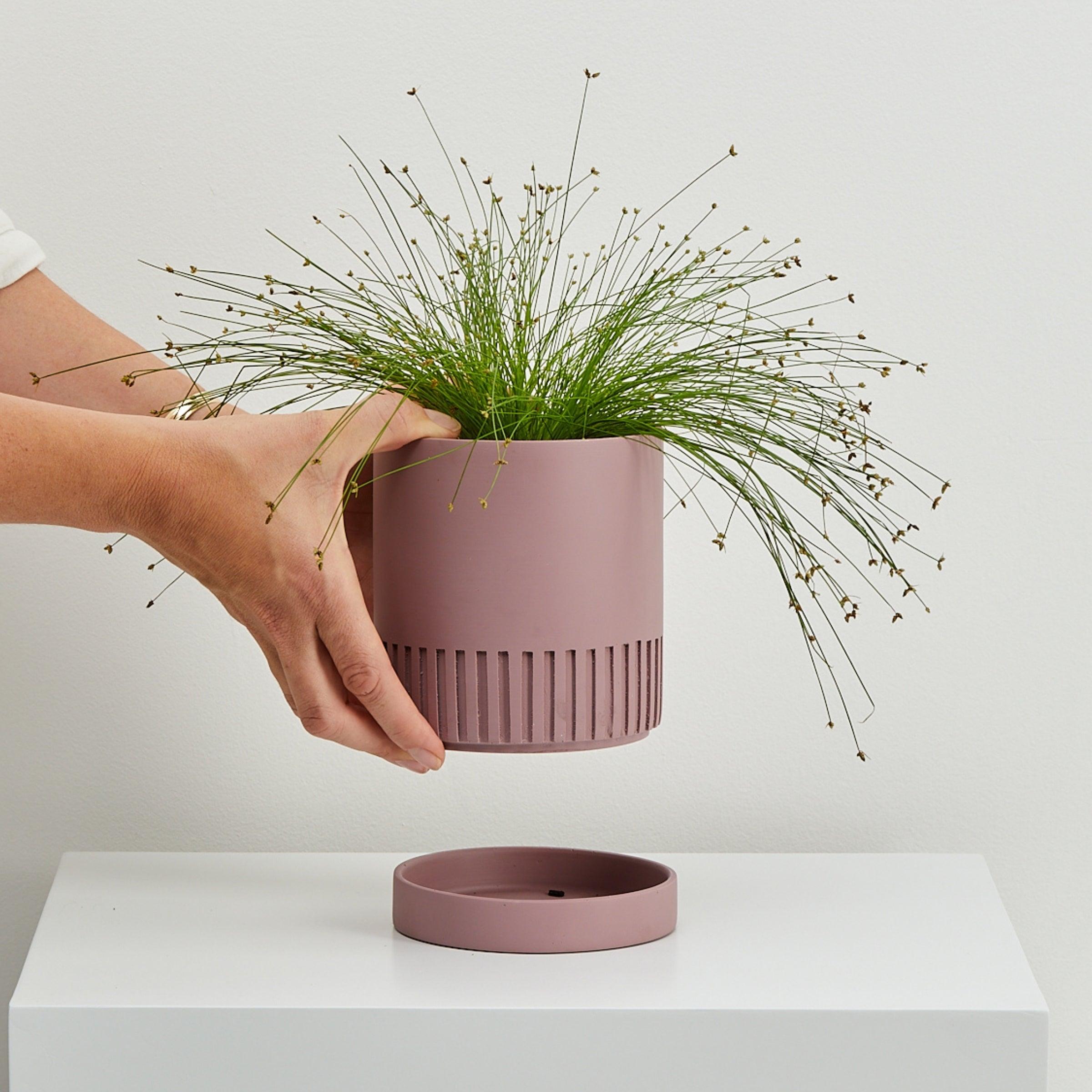 musk designer plant pot with trays