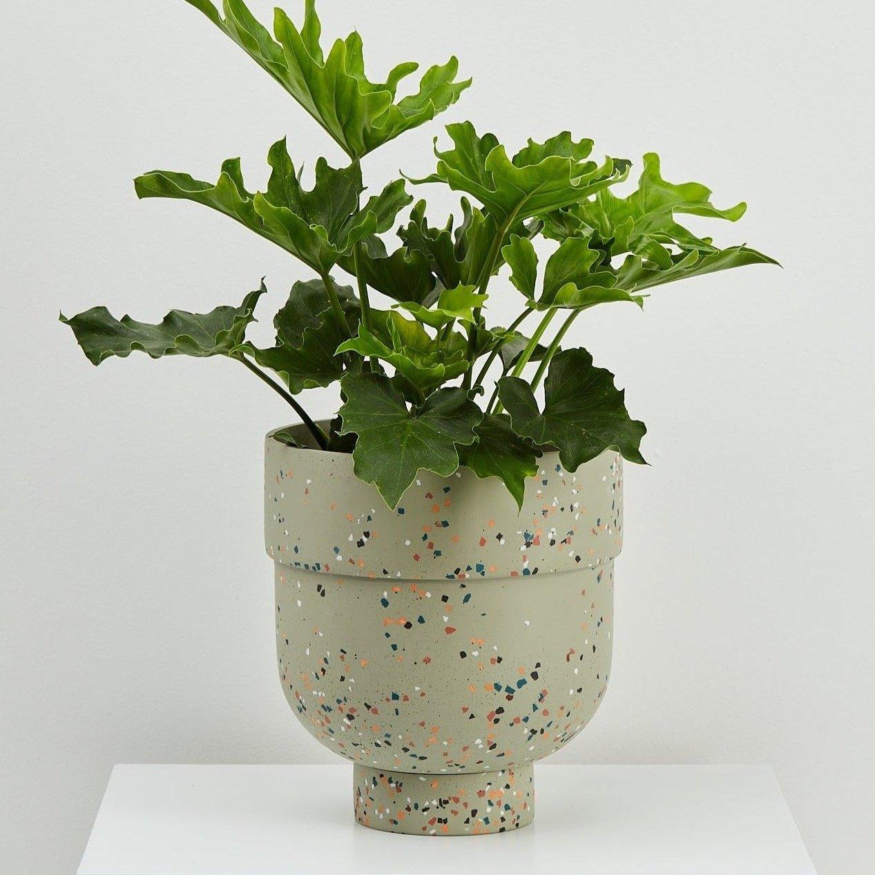 funnel plant pot Funnel Planter