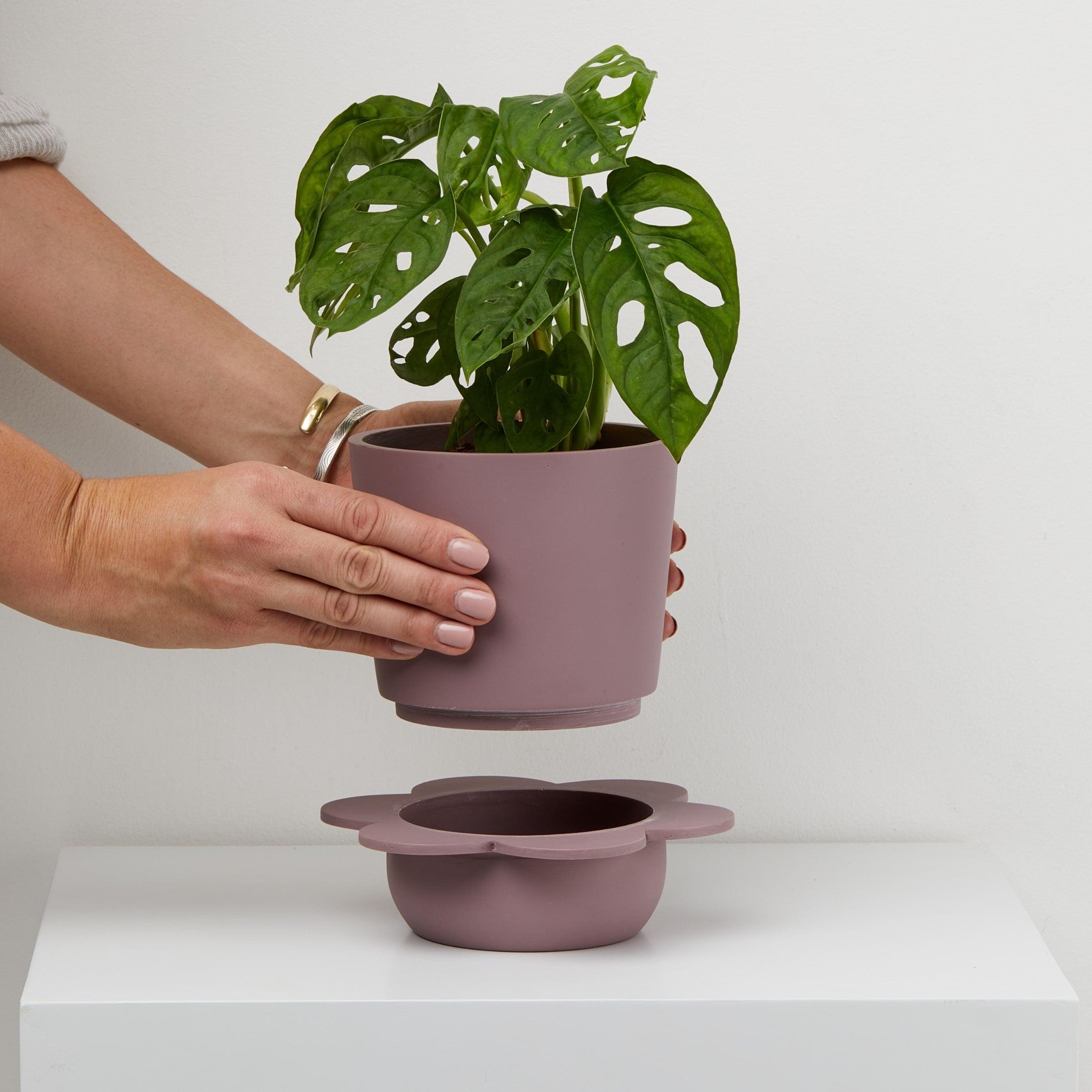 Musk indoor plant pots with tray