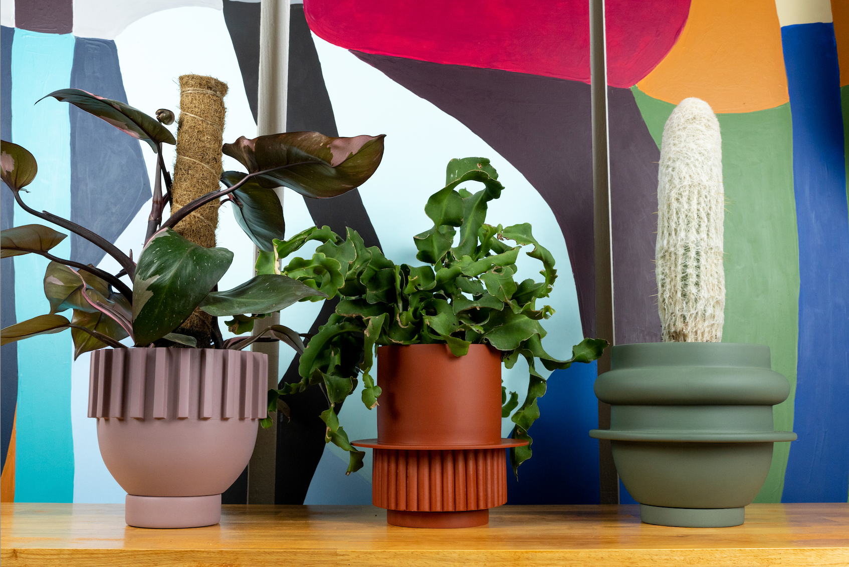 plant and pot styling