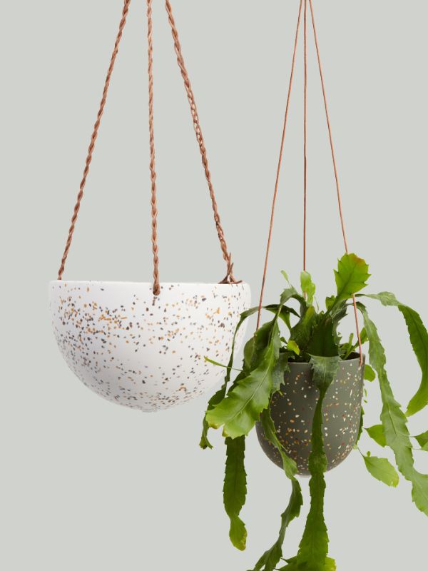 Capra Designs_Designer Hanging Pots