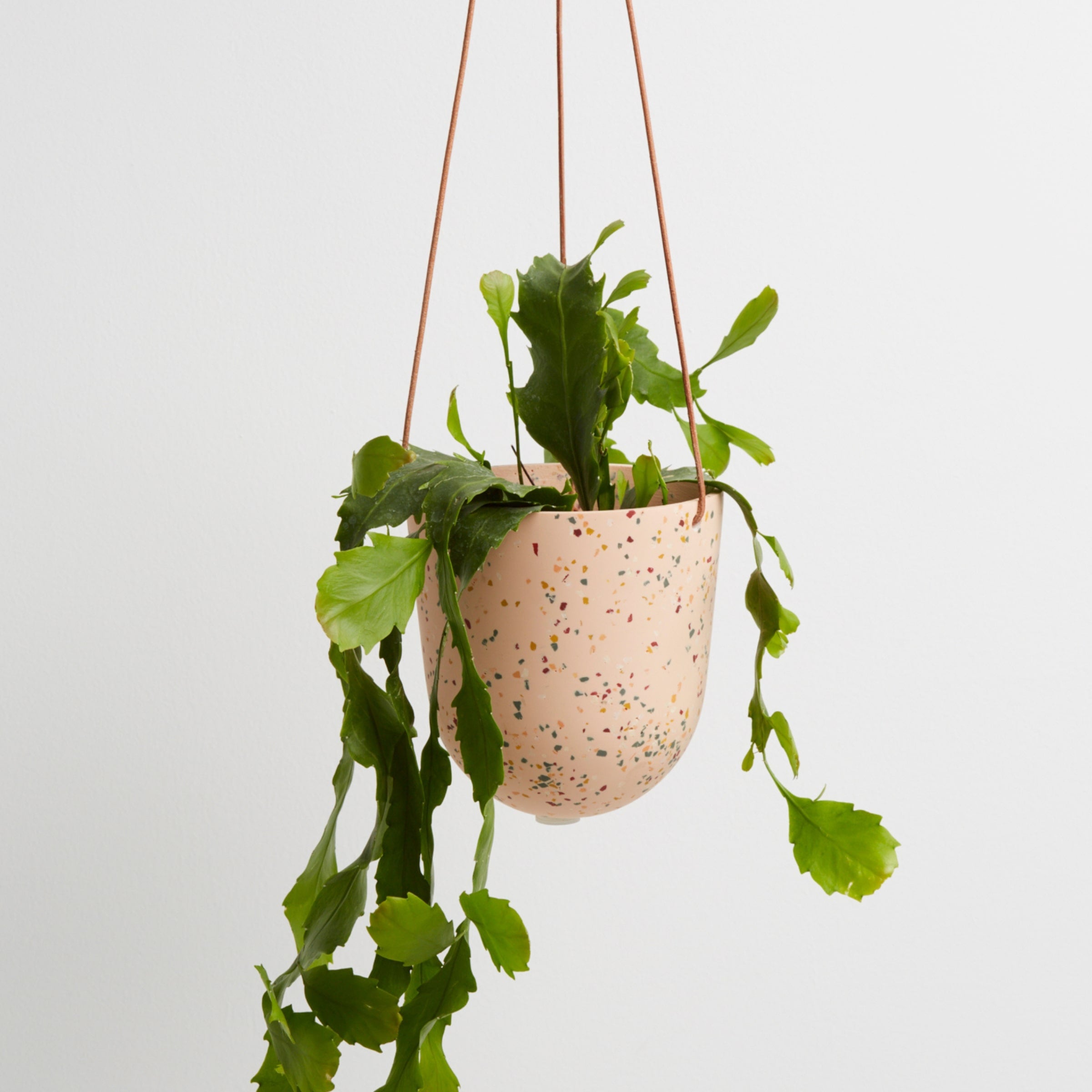 Terrazzo Hanging Pot - Capra Designs