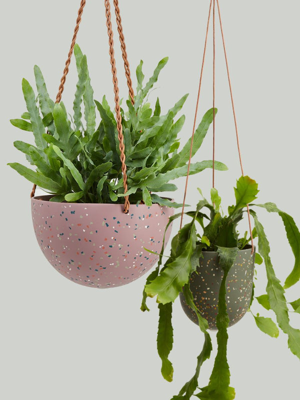 Terrazzo Hanging Pot Gift Set