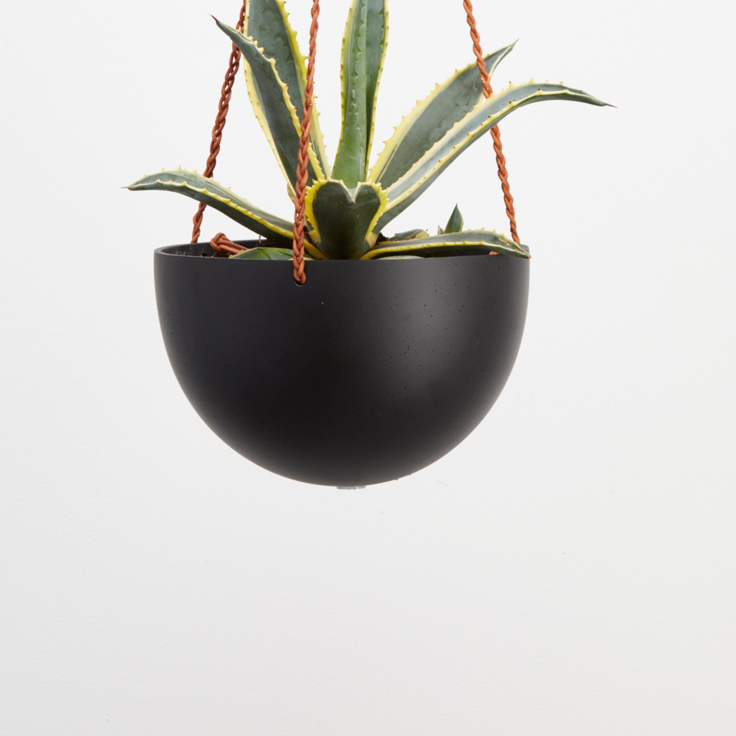 Block Colour Dome Hanging Pot - Capra Designs