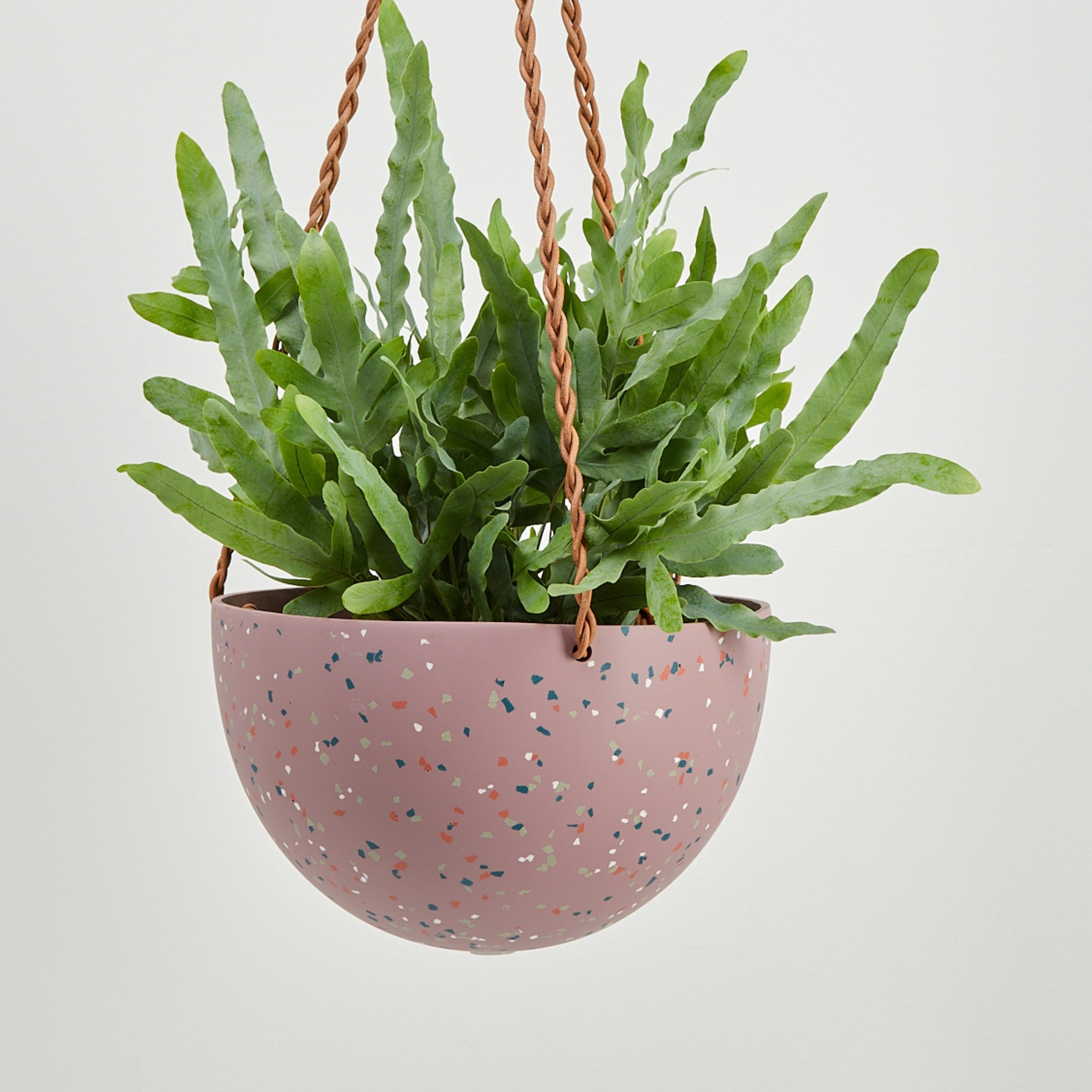 Terrazzo Dome Hanging Pot