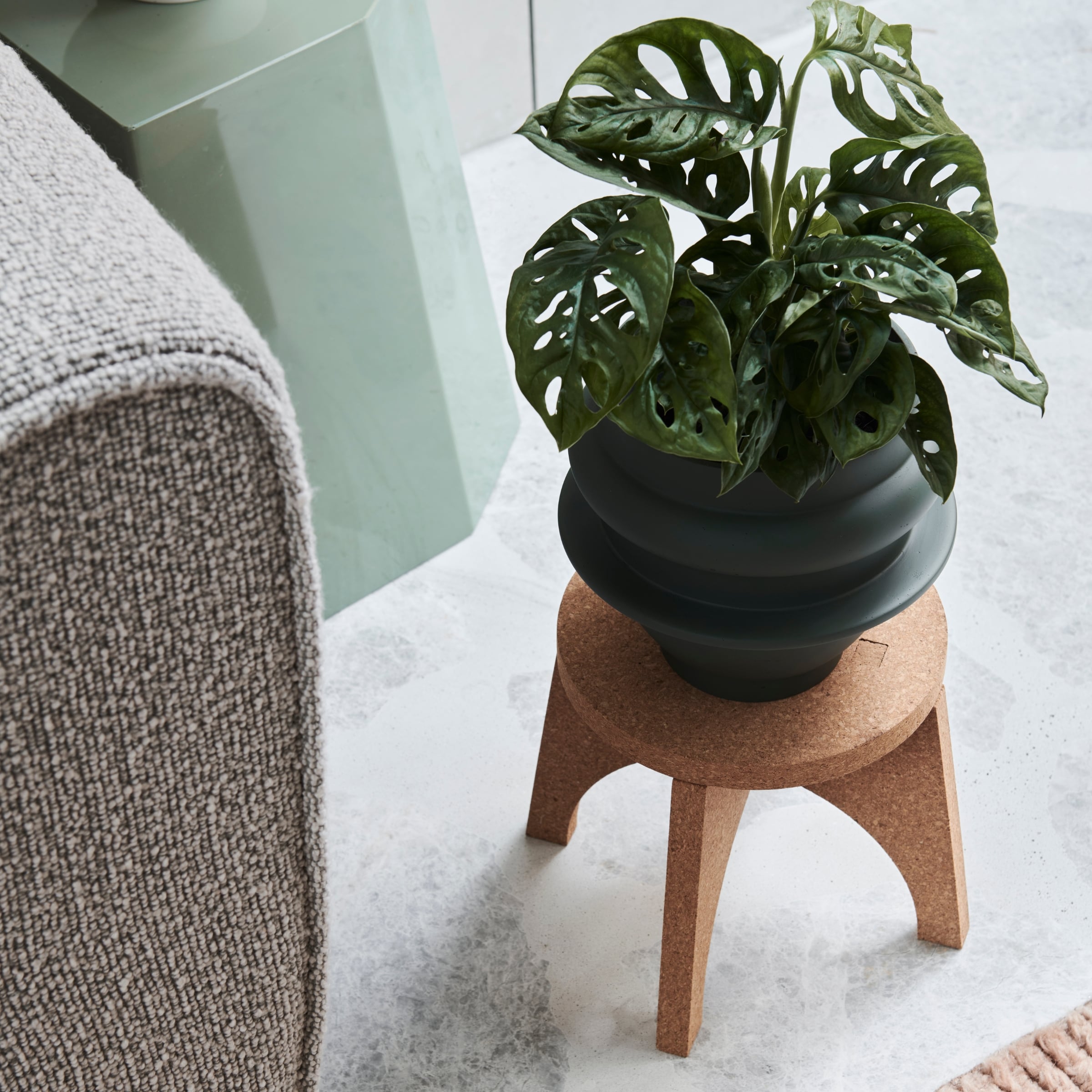 Capra Designs_Indoor Planter Stand_planters with Stand