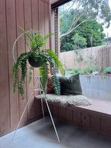 Crescent Plant Stand