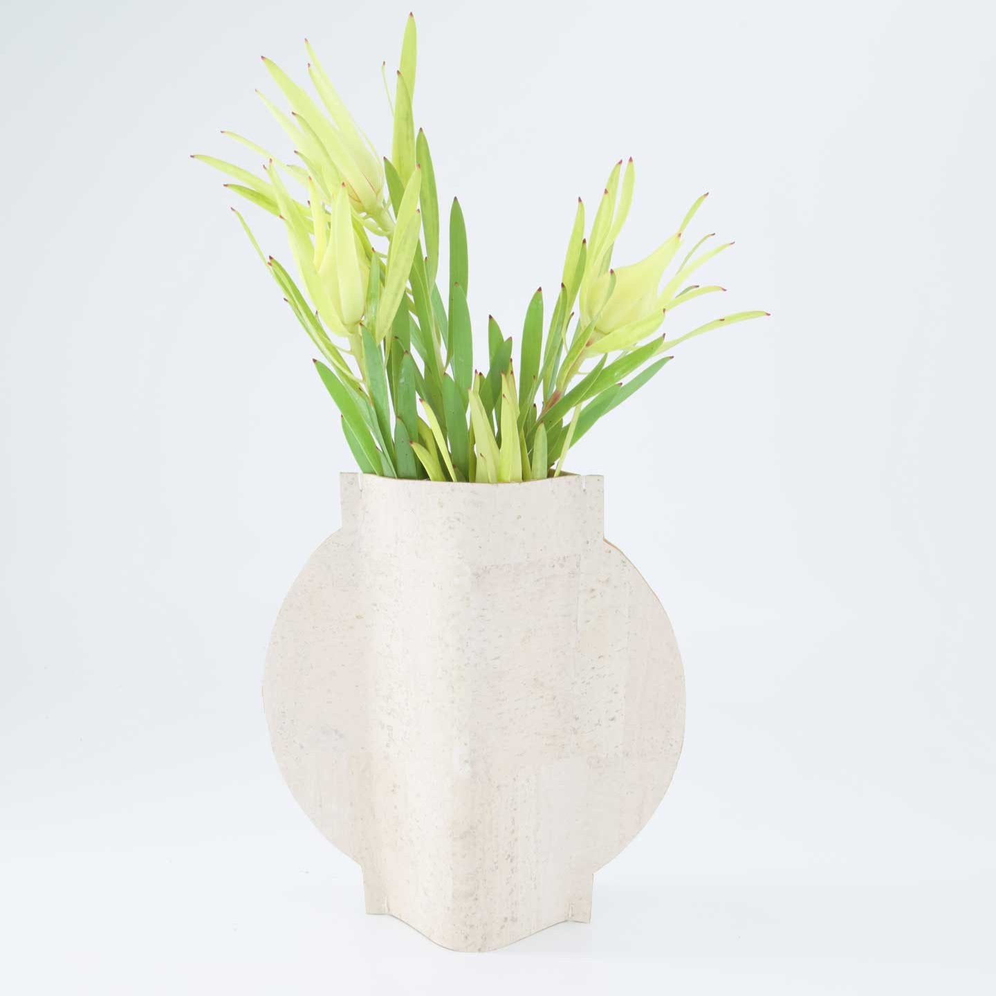 Fun Vase_Capra Designs