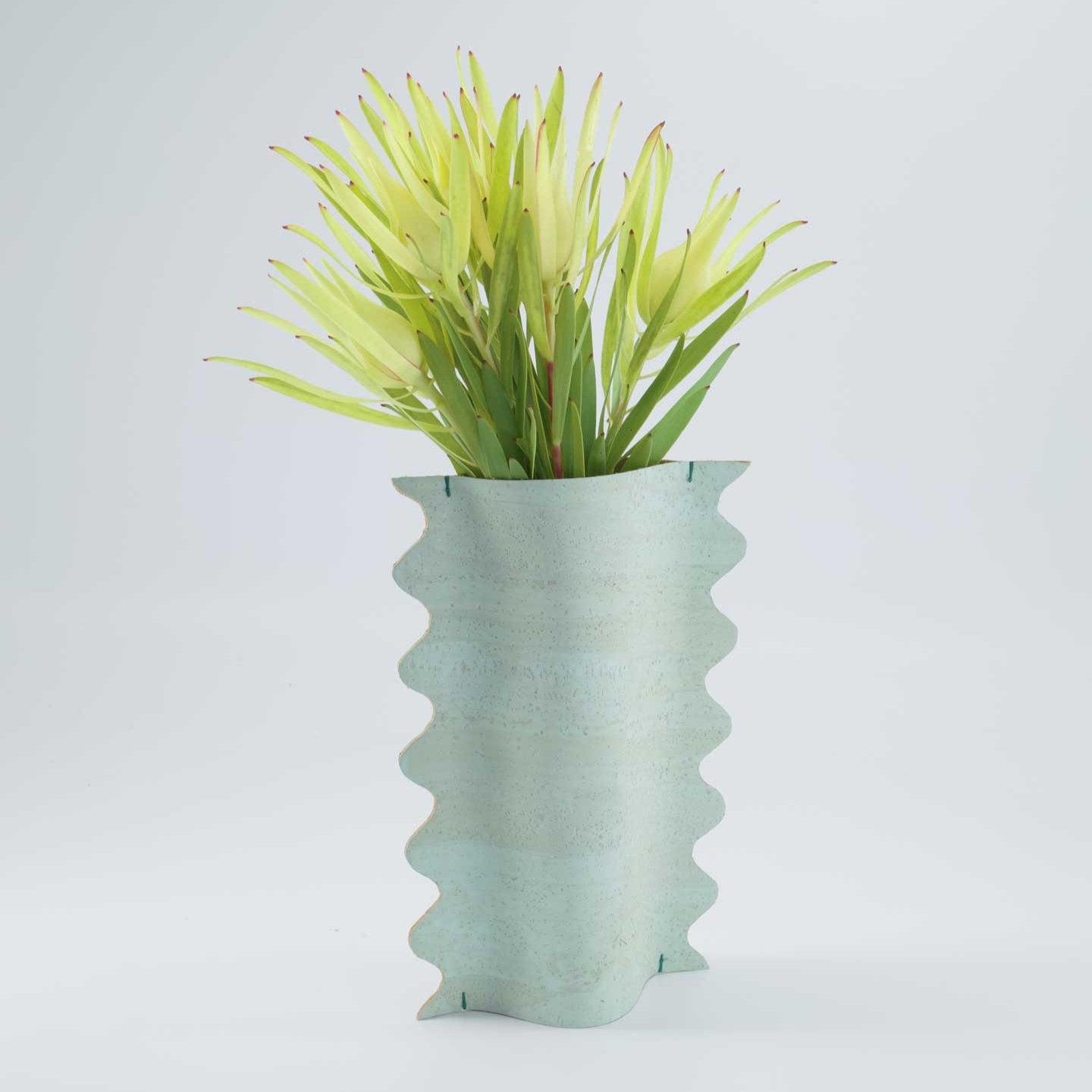 Unique Vase_Capra Designs