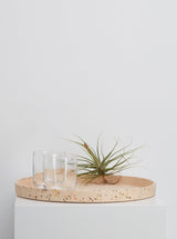 salt terrazzo trays with glass and plant