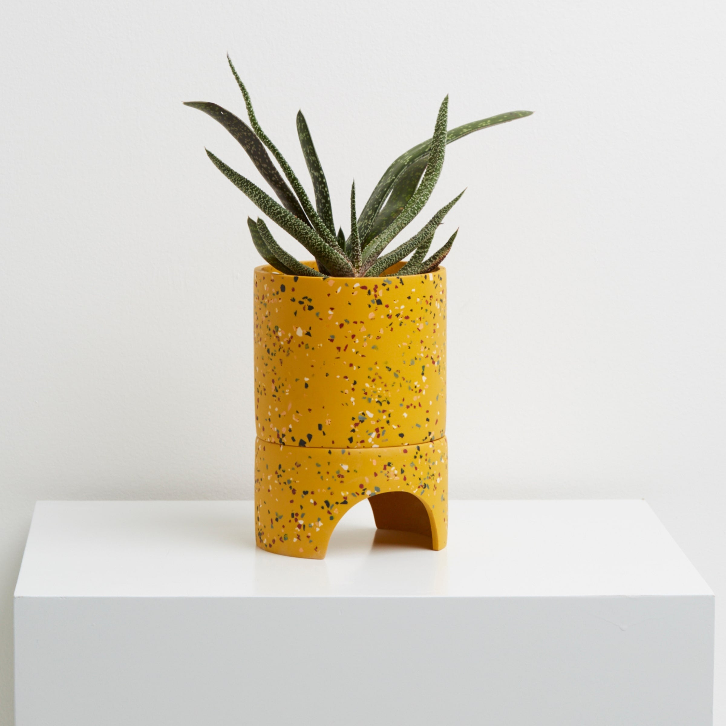 yellow indoor pot with drainage