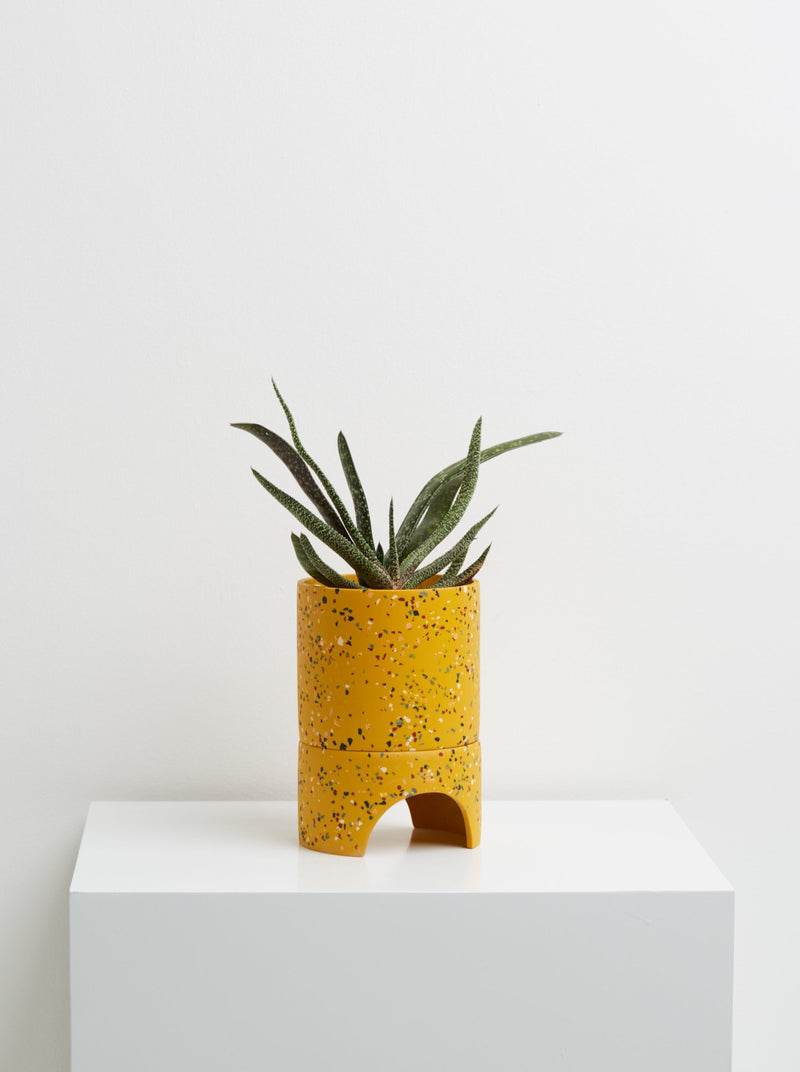 yellow indoor pot with drainage