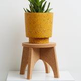 Golden Terrazzo plant pot with stand