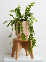 terrazzo plant pots with stands