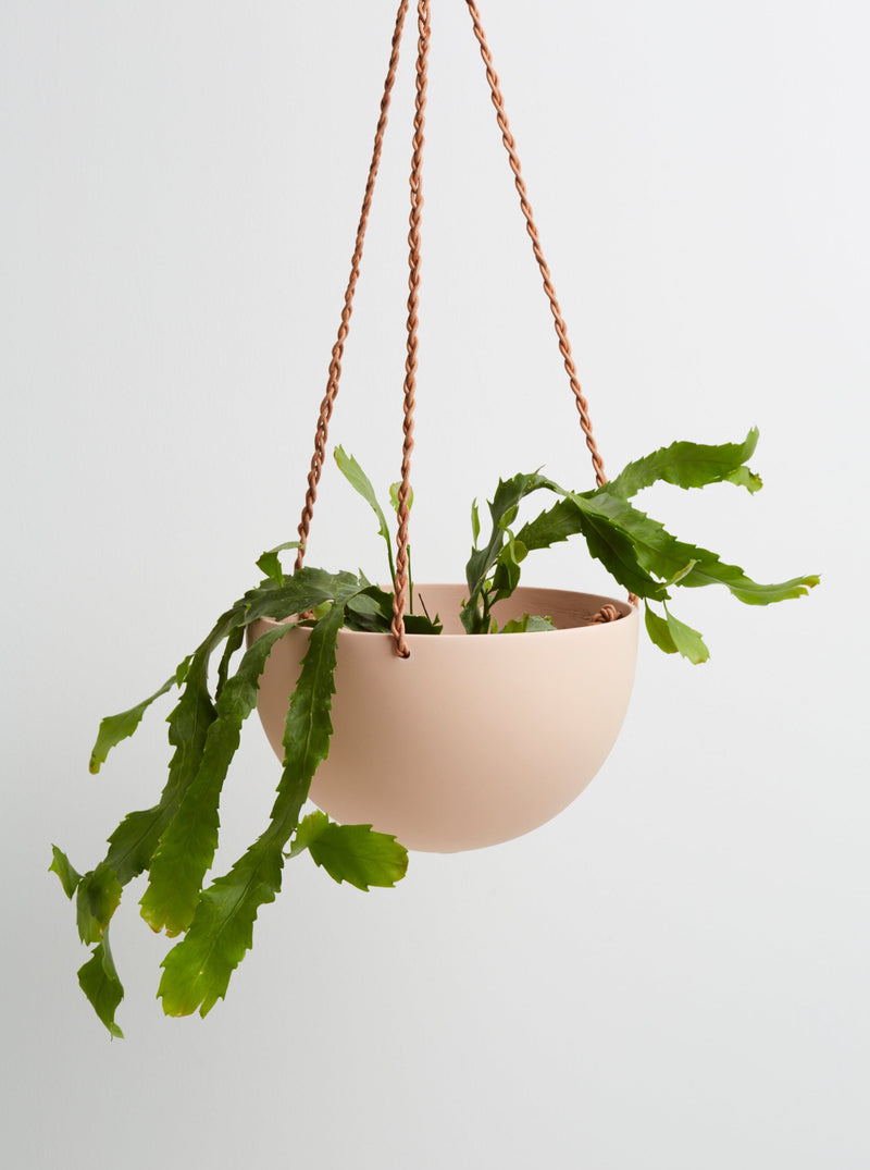 salt hanging pot with plant