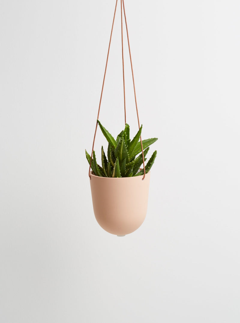 salt hanging pots with plant