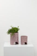 Musk Terrazzo pots with plant