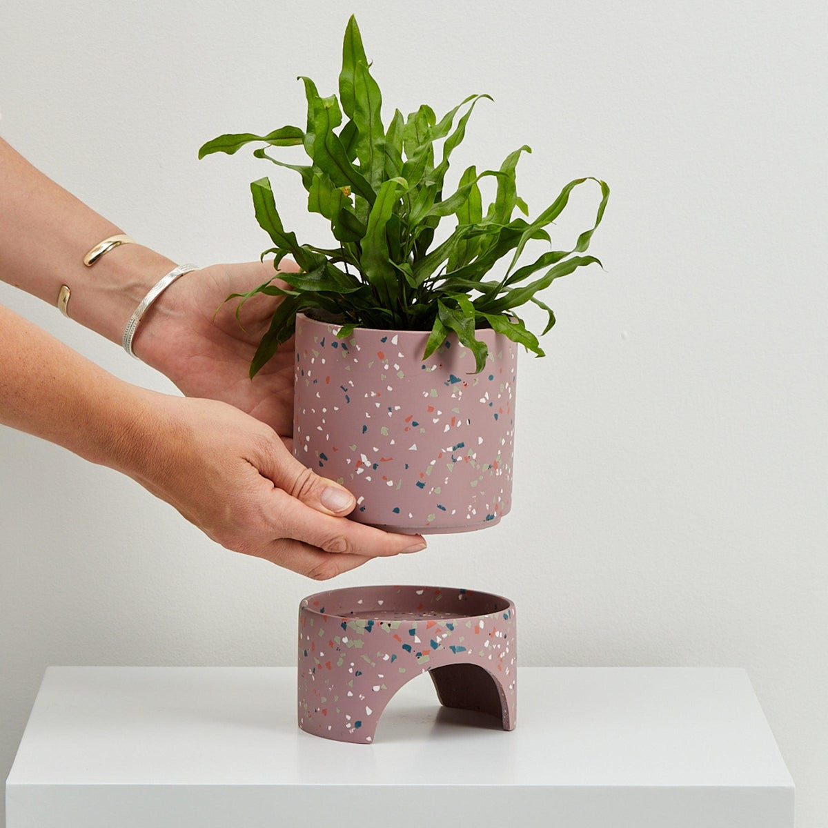 Archie Pot – Terrazzo Indoor Planter with Tray | Capra Designs